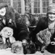 Image for article titled The Library Of Congress would like to share a selection of free cat images with you